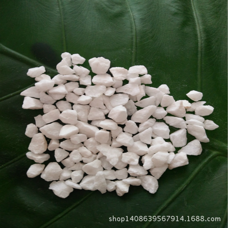 白色水磨石石子 白色洗米石 白色水刷石 小八厘 中八厘 大八