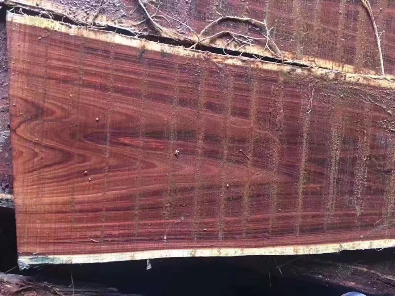 奥洲酸枝木 原木 板材 非洲酸枝木 纹理清晰 密度高 胜鼎木业