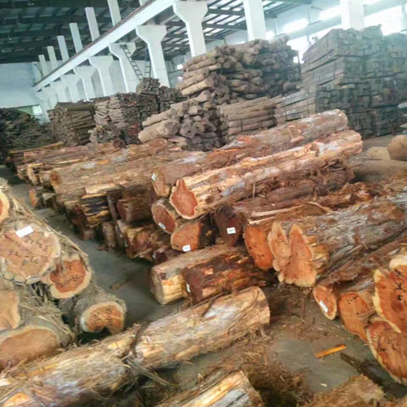 进口红心柏木原木 美国红心柏木 南美黄柏木 厂家直供 生产供应
