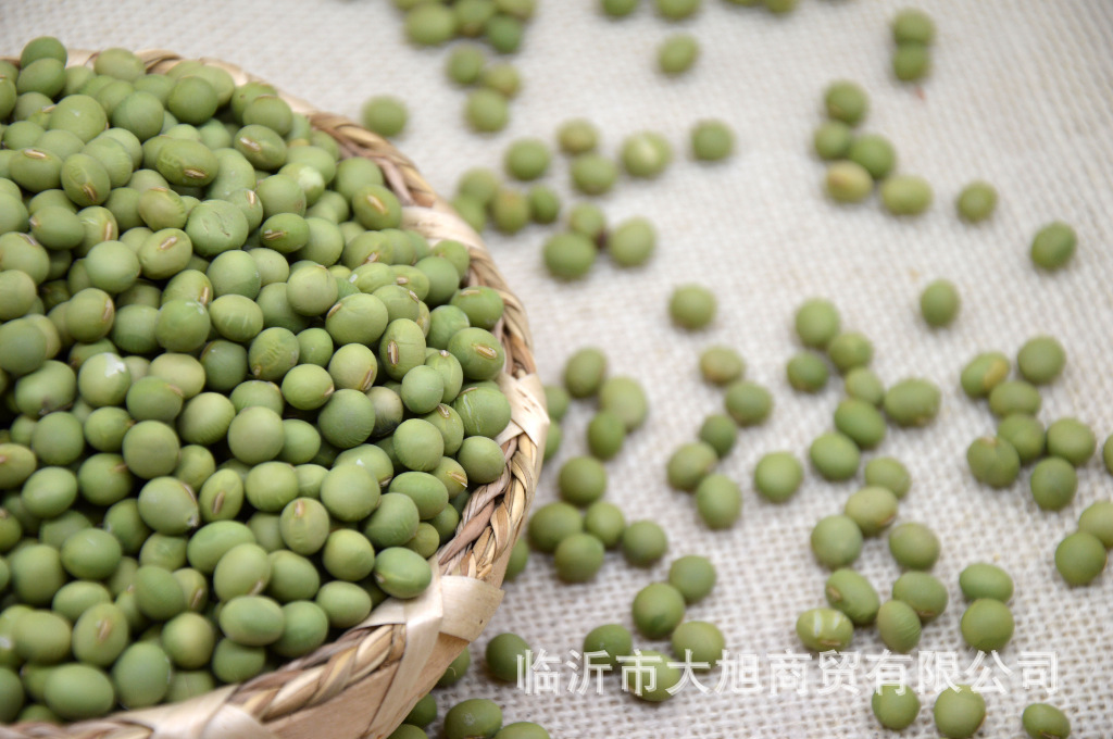 大青豆批发 农场自产豆类杂粮 手捡大青豆 一件500g代发五斤包邮