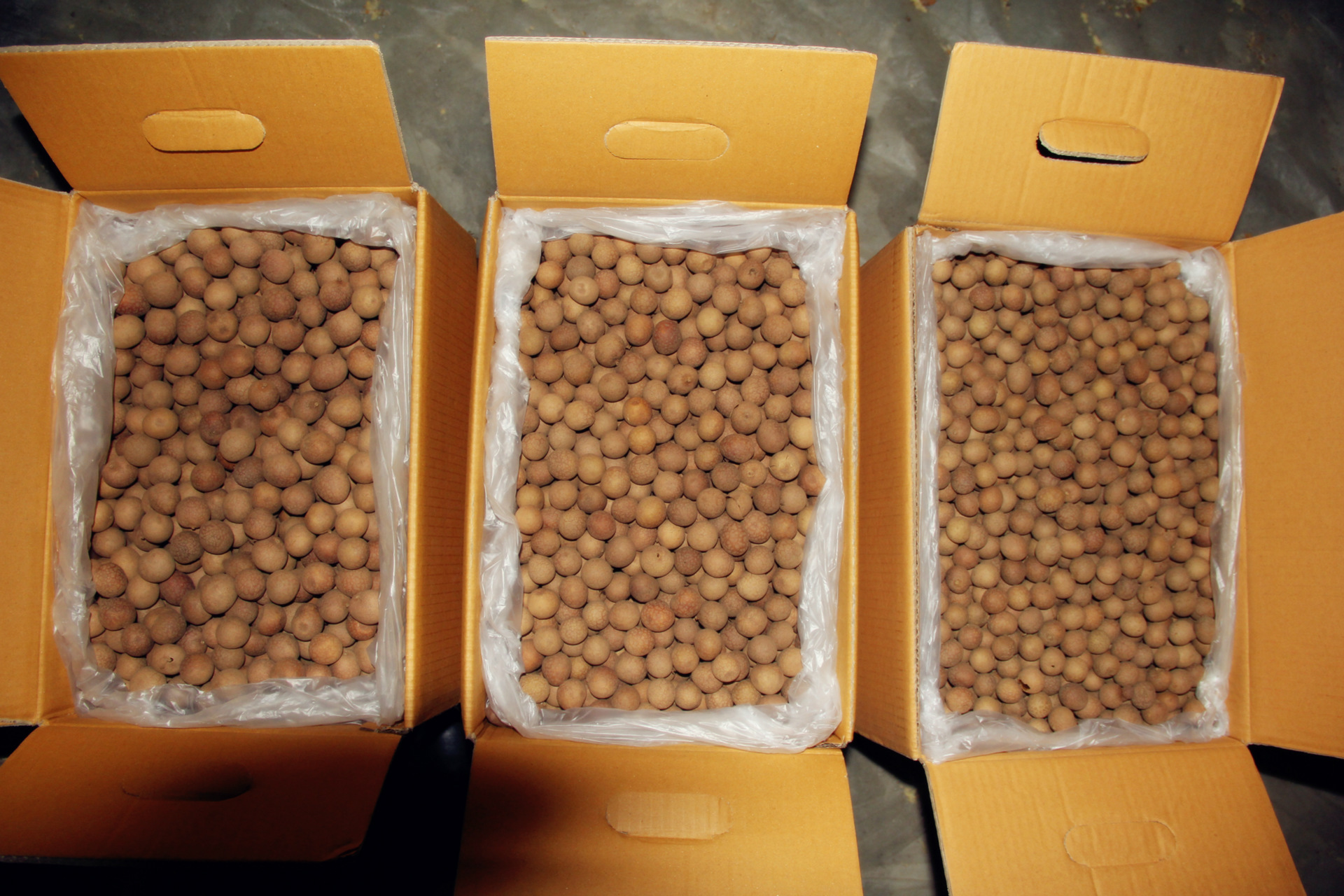 新货4a莆田桂圆一箱20斤批发 直径2.4cm正a桂圆干肉厚核小