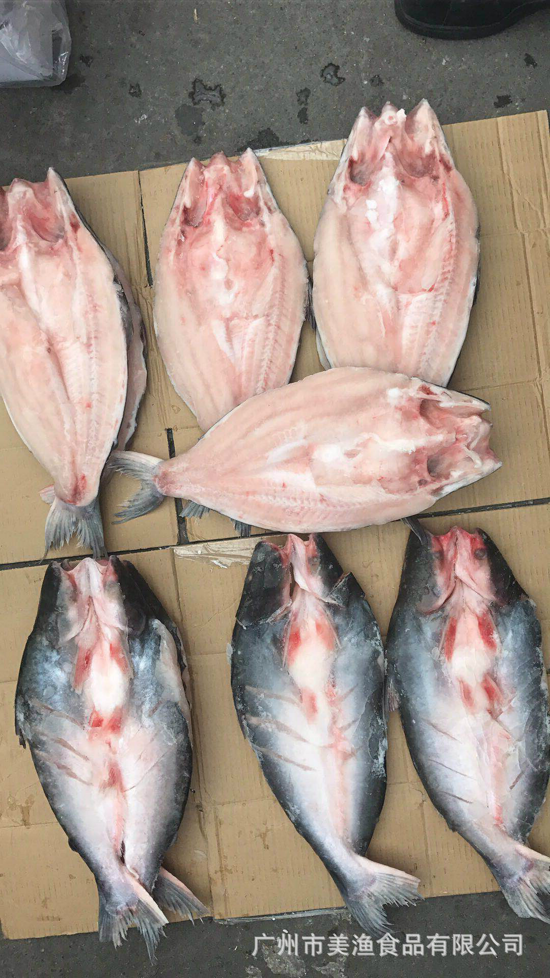 活冻开边 开背巴沙鱼 冷冻湄公鱼烤鱼用 凌波鱼巴沙鱼烤鱼10kg/件