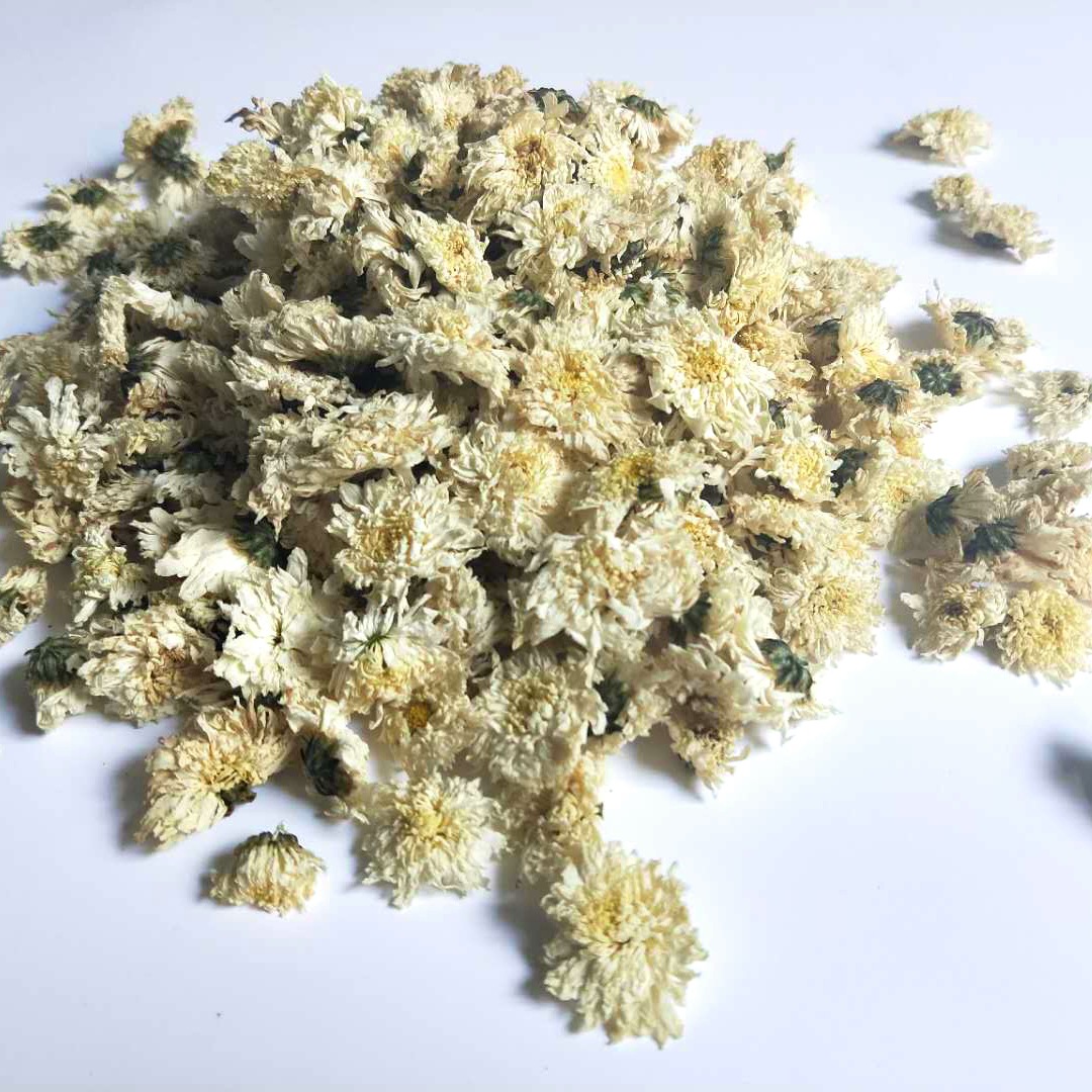 散装七月菊黄山贡菊 花草茶 白菊花茶一手货源 量大价优 现货批发