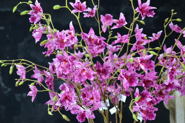 黄色跳舞兰文心兰仿真花批发精制假花塑料花客厅家居装饰工艺摆件