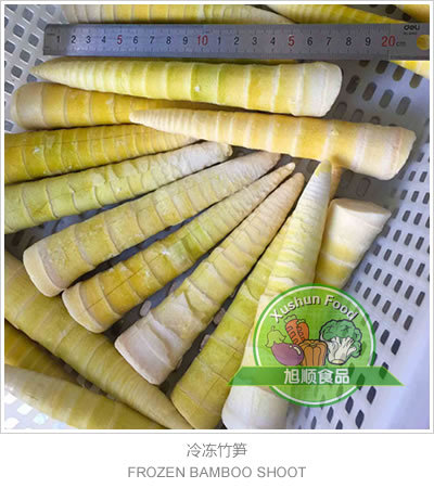 冷冻竹笋/frozen bamboo shoot