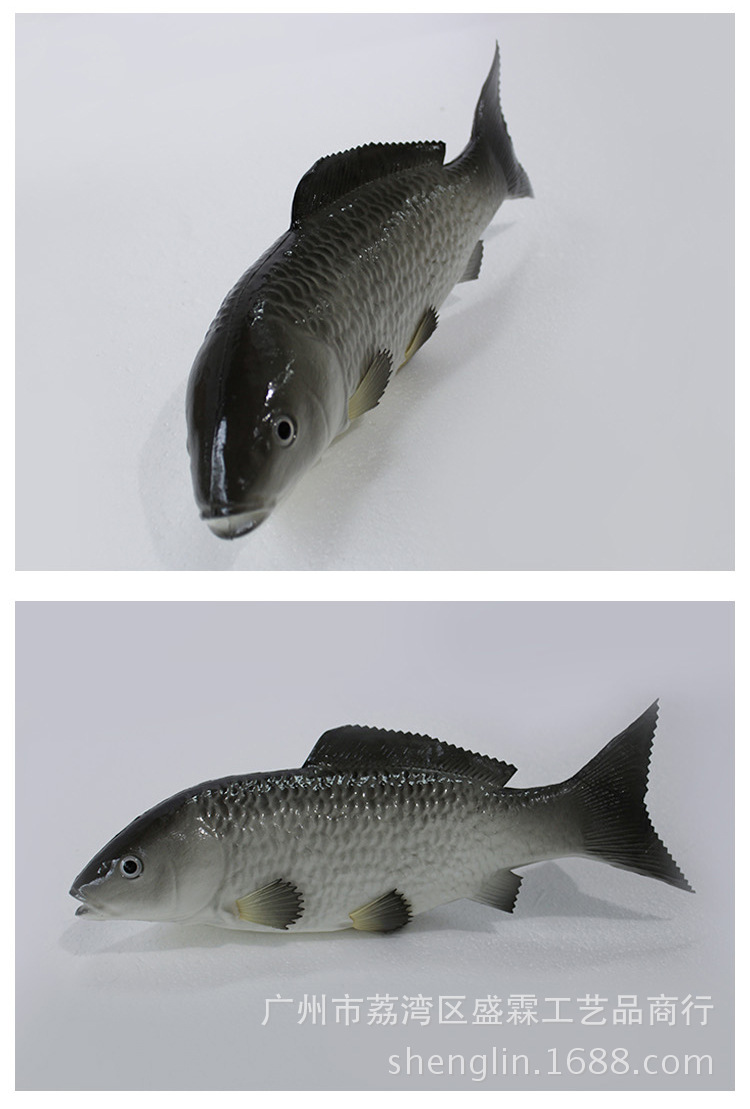 大小鲤鱼仿真鱼假鱼模型 儿童启蒙道具 幼儿园玩具仿真鱼装饰摆设