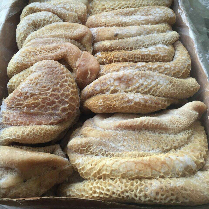 广式蒸金钱肚高清图片下载 红动网