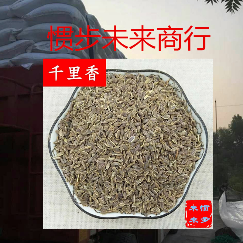 批发千里香 500克 青岛黄岛胶州既墨香辛料产地货源 现磨千里香粉