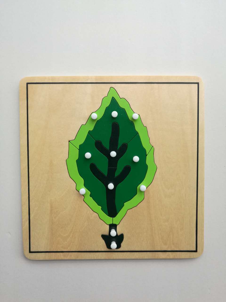 蒙氏教具国际版早教玩具蒙台梭利教具蒙特梭利教具动植物嵌板拼版