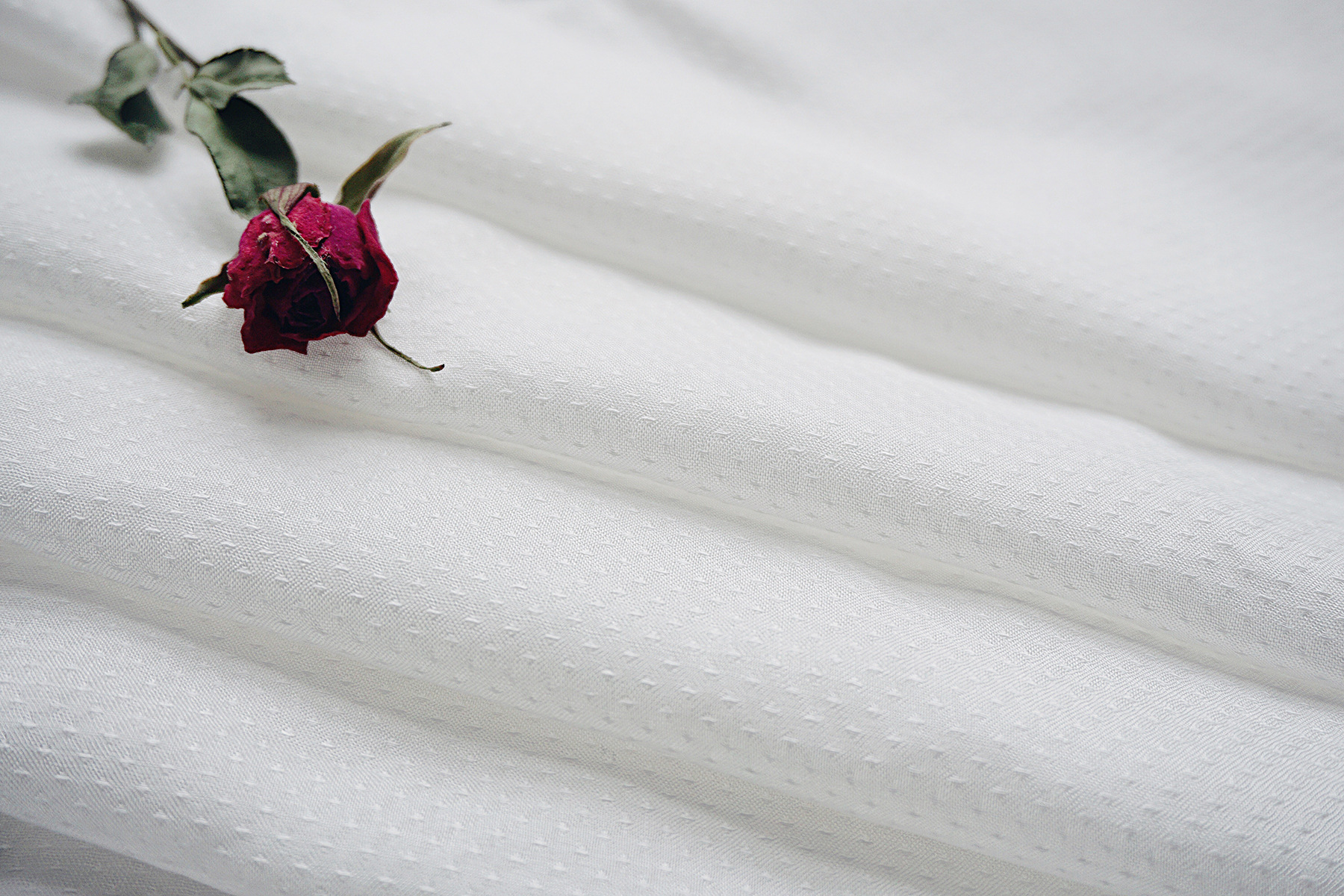 60*60人棉满天星布料批发 小清新连衣裙半漂服装面料 厂家直销