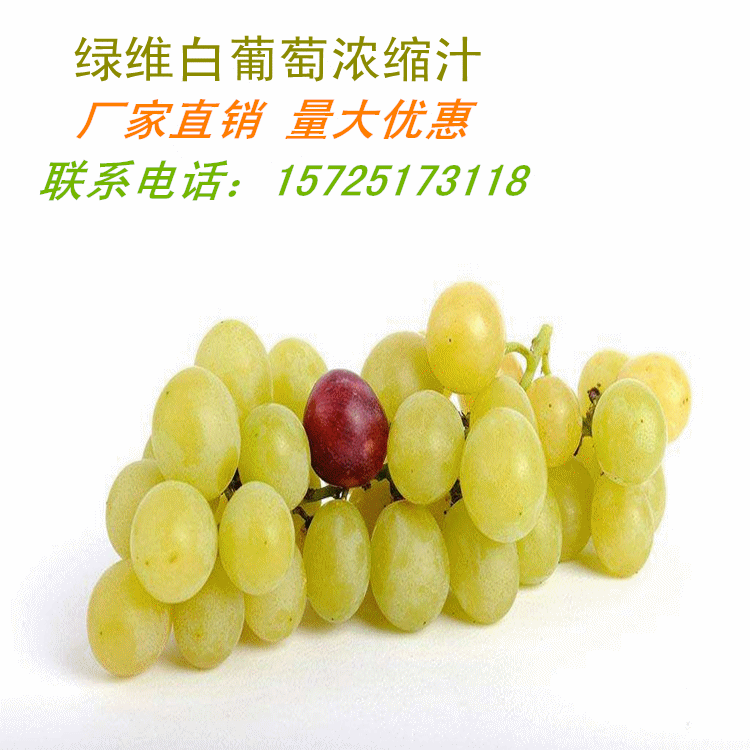 绿维白葡萄浓缩汁 浓缩白葡萄汁 白葡萄浓缩果汁原料 白葡萄汁