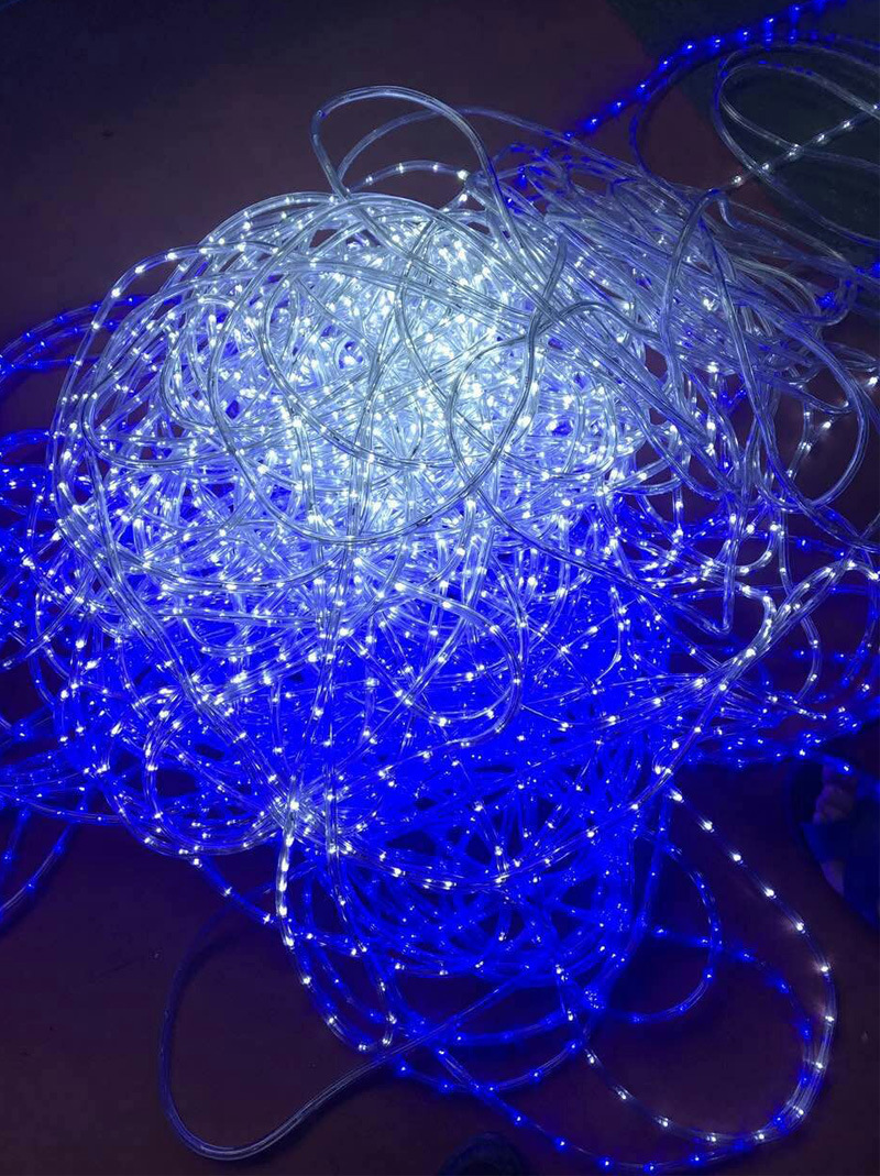 2019新款led圆二线灯串轨道灯彩灯灯条扁三线扁四线工程亮化220v