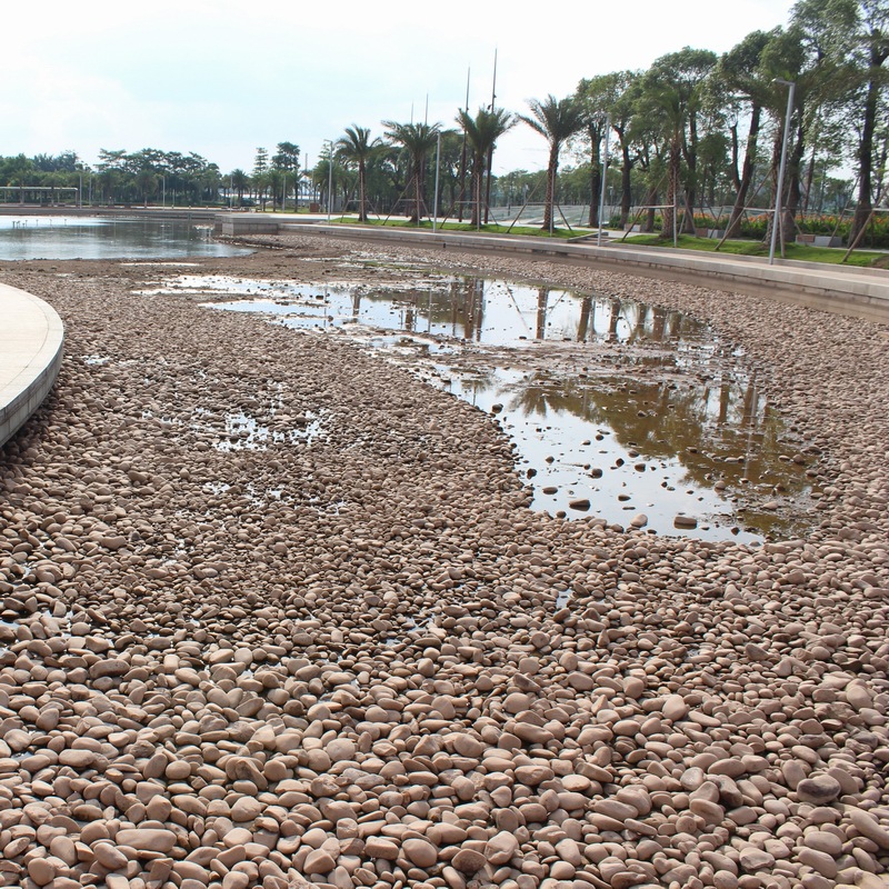 园艺白石子水洗地坪装饰园林石水族鱼缸水培石头装饰品彩色鹅卵石