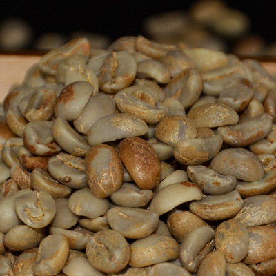 咖啡豆精捡卡蒂姆老挝进口蜜处理生豆可代烘焙小粒种熟豆厂家直销