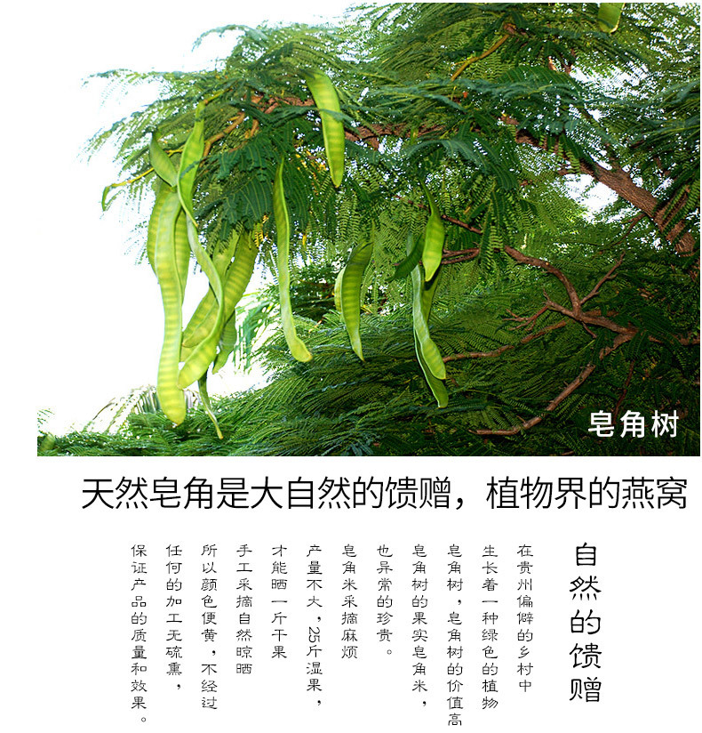 双荚皂角米精选大粒贵州雪莲子单荚皂角米中粒无硫滋补品批发代发