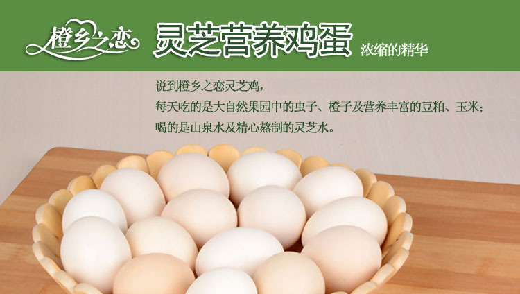 供应 灵芝鸡蛋