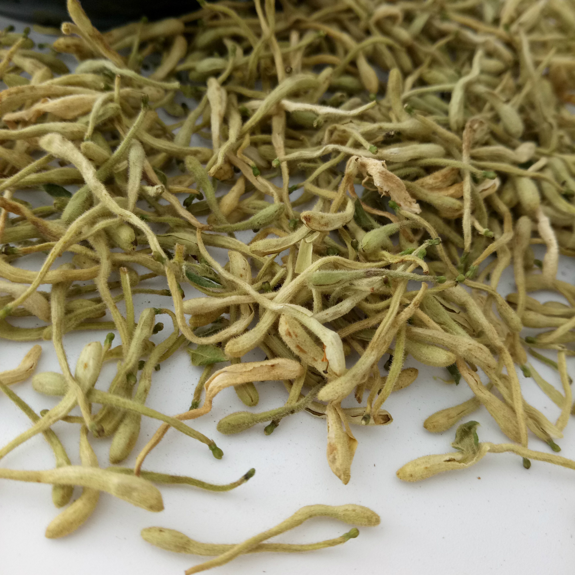 批发中药材 供应优质 金银花 双花 河南金银花 散装花草茶