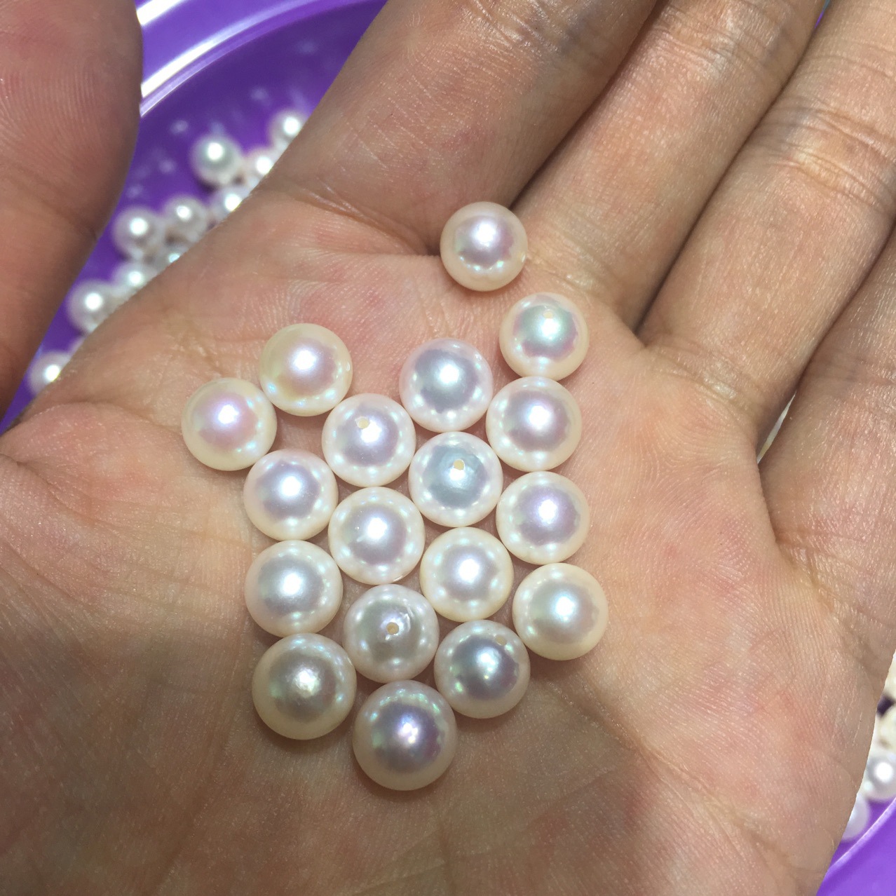 5mmakoya aaa海水珍珠日本厂家直供基本无暇散珠