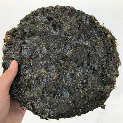 散装500g一斤紫菜烘烤半自动后期特价 产地直销厂家批发