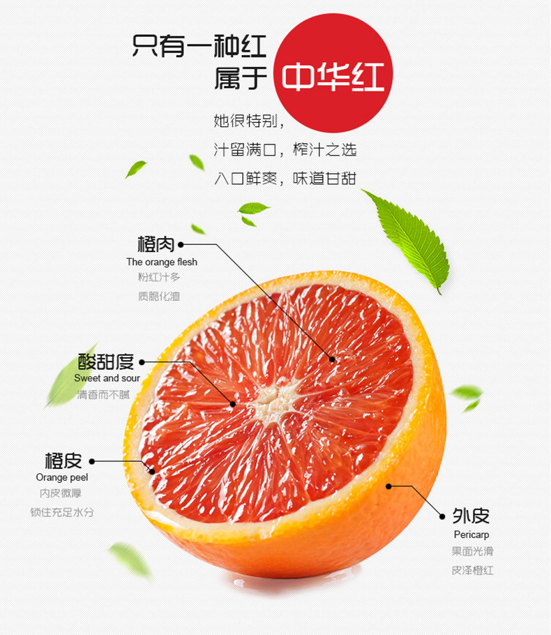 现摘现发秭归脐橙 10斤装中华红血橙橙子甜橙新鲜水果代理