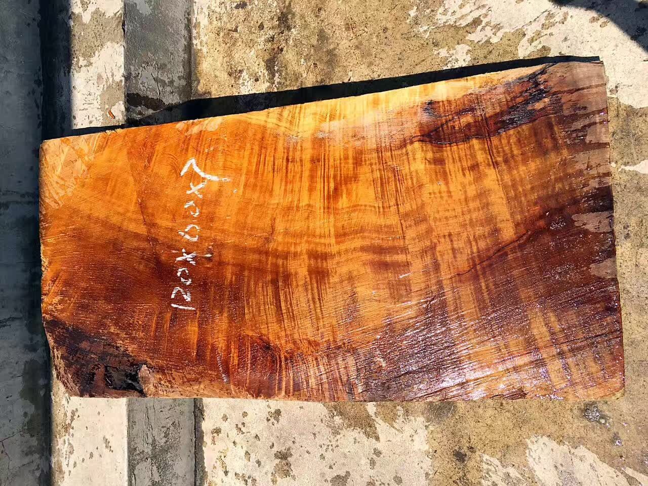 木材满金丝楠木 金丝楠原木板材实木木板材原木