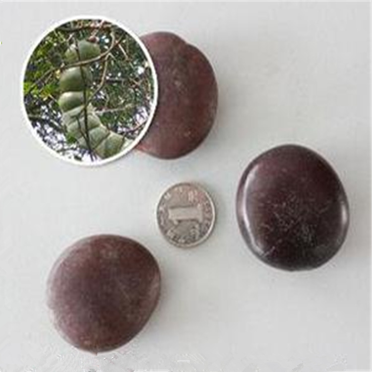 新采平安豆林木种子九龙藤种子平安豆种子罗汉豆种子龙豆量大从优