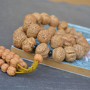 摩尼菩提