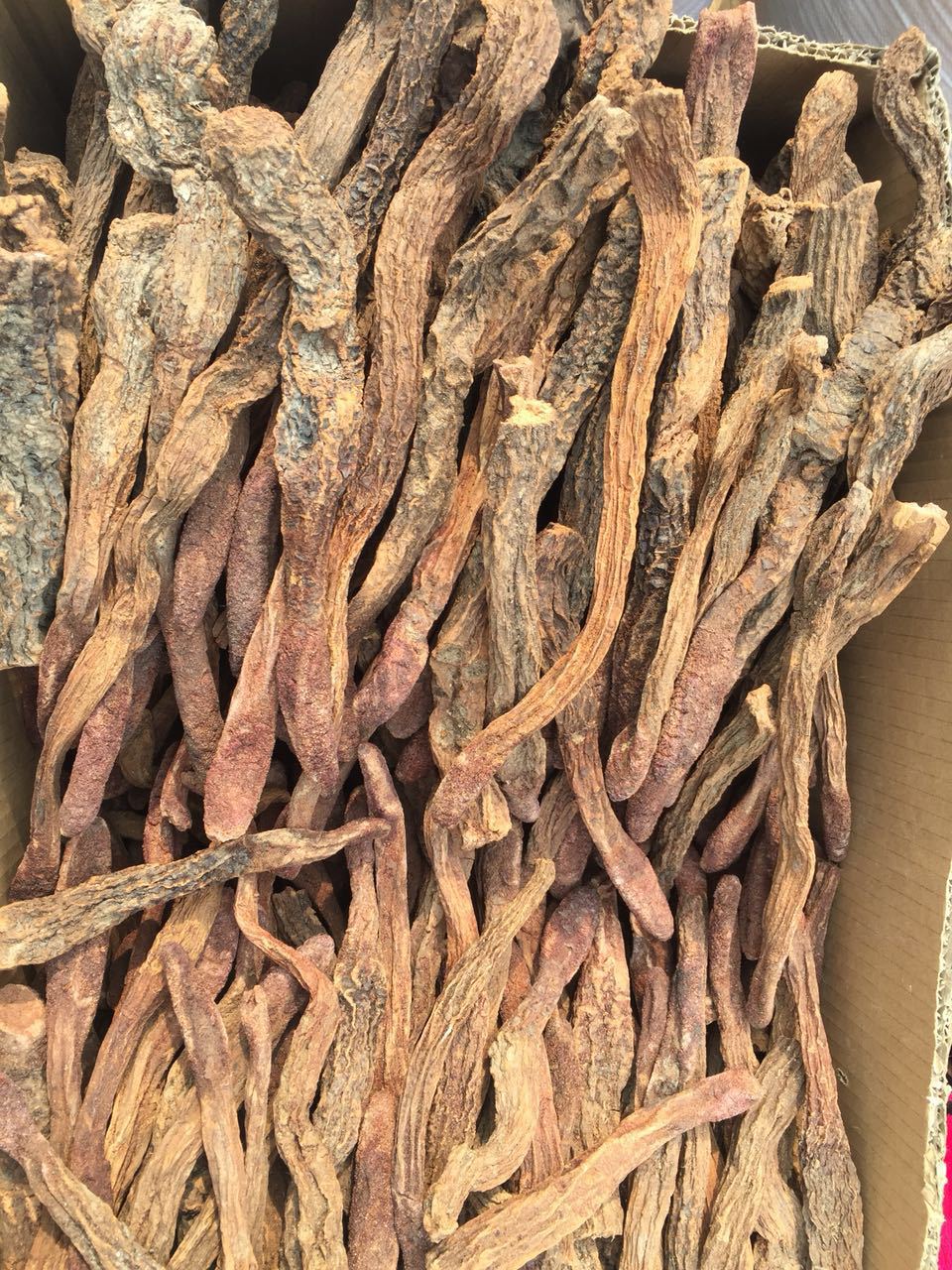 锁阳批发锁阳个子亳州中药材厂家产地货源中药批发青海锁阳个