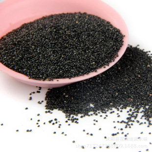 批发凤尾鸡冠花种子 头状鸡冠花种子 混色鸡冠花种子室内阳台