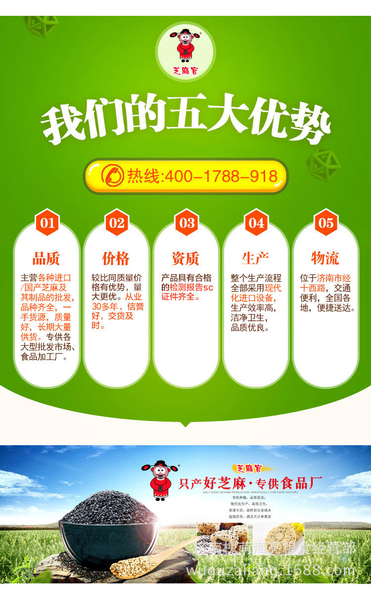 大量v芝麻山东芝麻官芝麻一级熟黑芝麻取名厂家做酱芝麻菜单在猪肝上怎么榨油图片