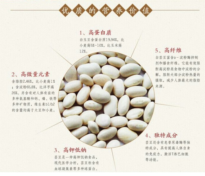 白芸豆固体饮料odm贴牌