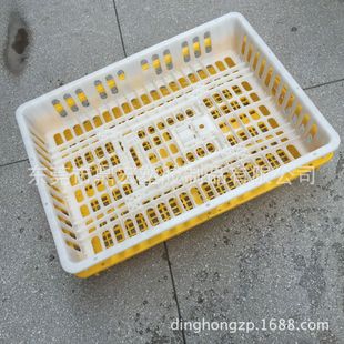 批发全新塑料周转鸡笼 耐摔家禽专用鸭笼子 加厚型养殖笼