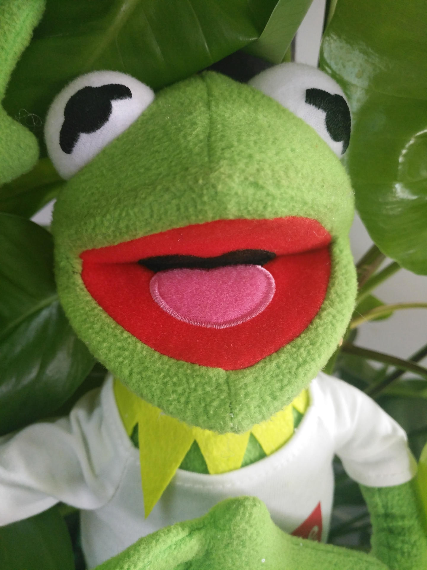 现货supreme青蛙公仔芝麻街科密特青蛙kermit 科米蛙生日礼物