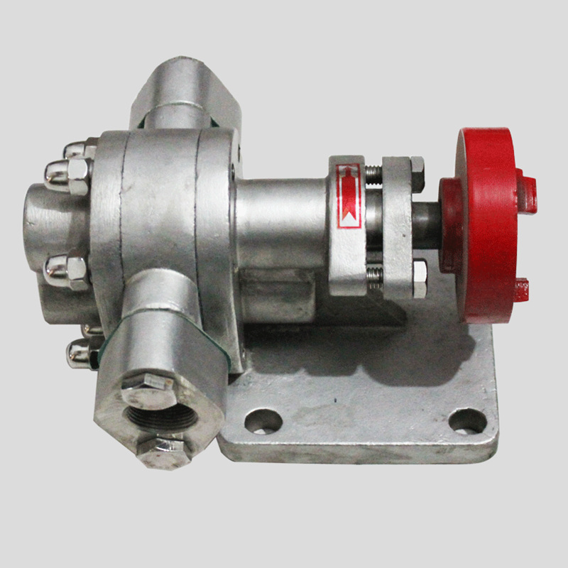 3不锈钢齿轮油泵220v润滑油泵柴油洗涤剂耐腐蚀齿轮油泵_供应产品