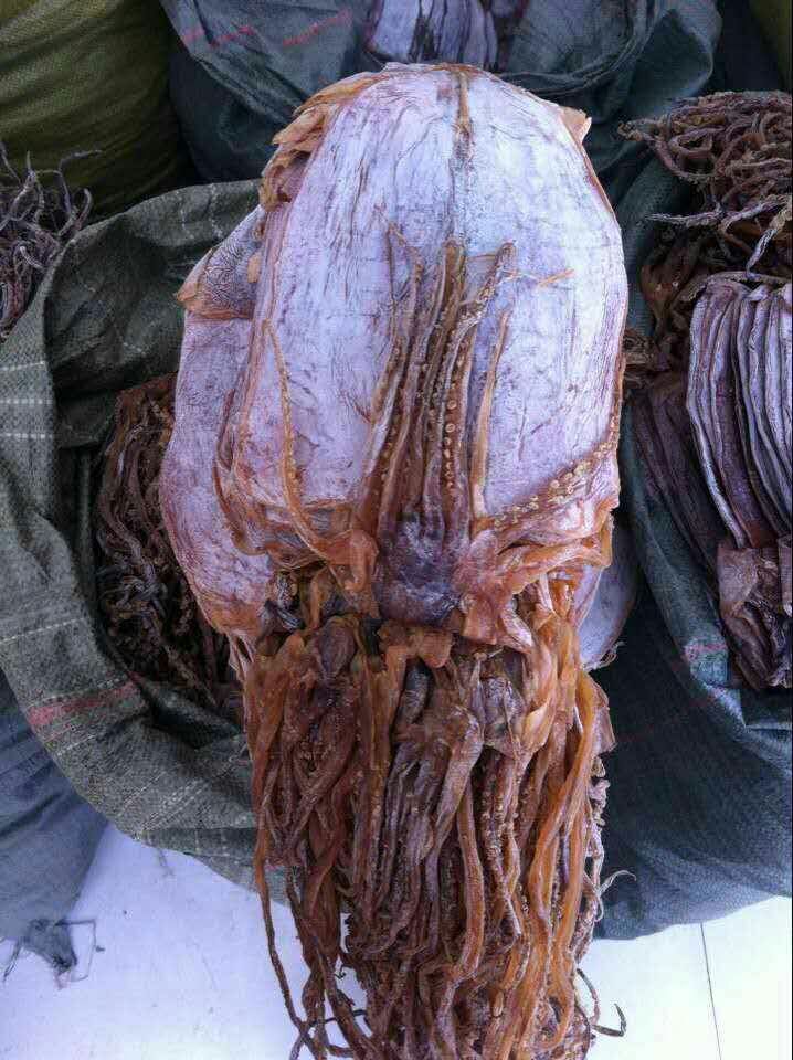 鱿鱼须大号干鱿鱼山东鱿鱼须水发鱿鱼个大肉厚产地货
