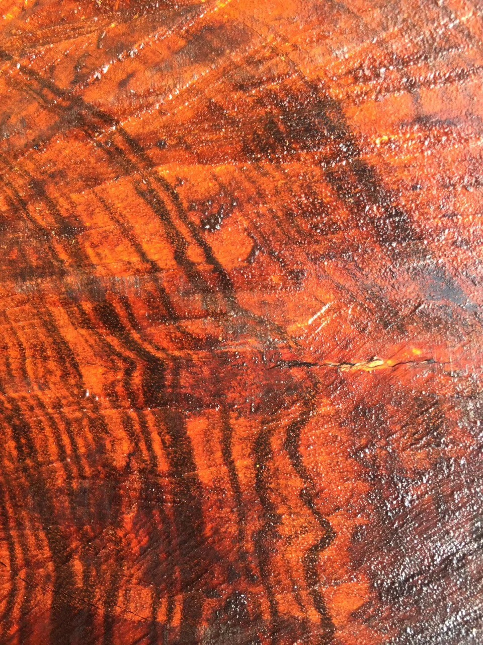 印尼 大叶黄花梨原木长叶雀肾 木板材伯利兹黄檀 张家港广星木业