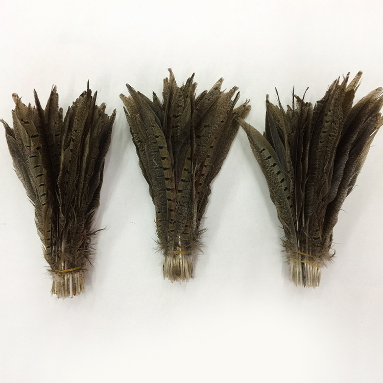 厂家直销大量现货供应 20-25厘米公山鸡毛野鸡毛