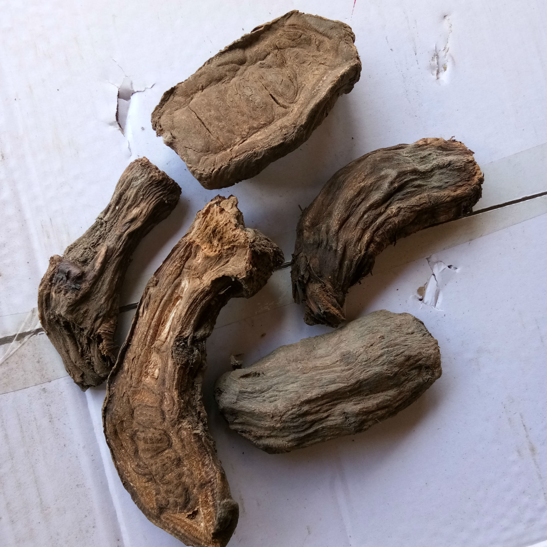 大黄 甘肃大黄批发供应 散装 统 中药材批发 规格齐全 纯正天然