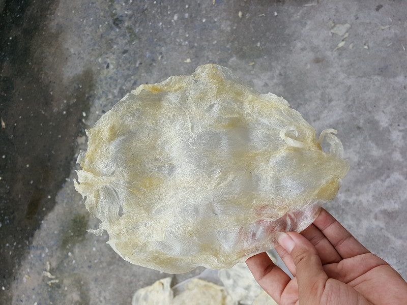 北海鱼胶花胶500g 水发鱼胶片 阿里巴巴批发酒店宴席餐饮食材