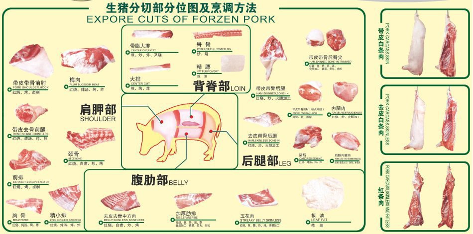 猪松板肉部位图图片