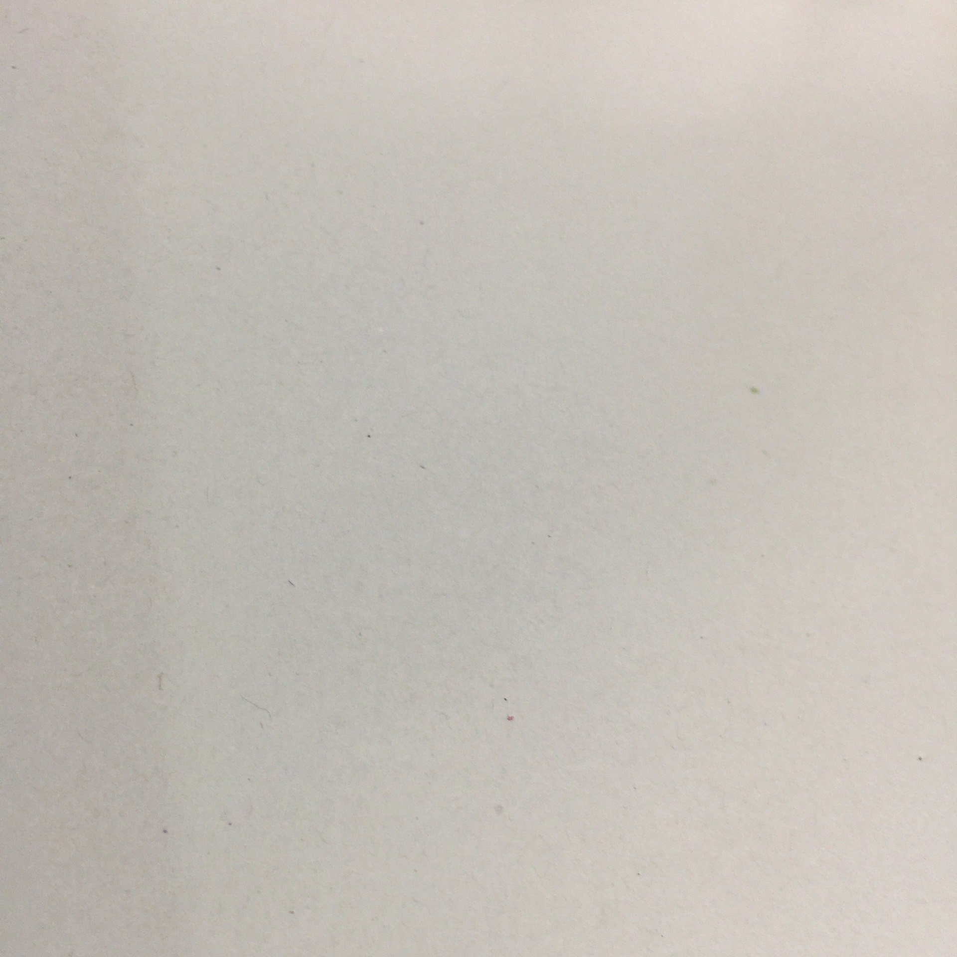 16开白皮空白纸的作业本有带格的语文本 带格数学 英语学生作业本