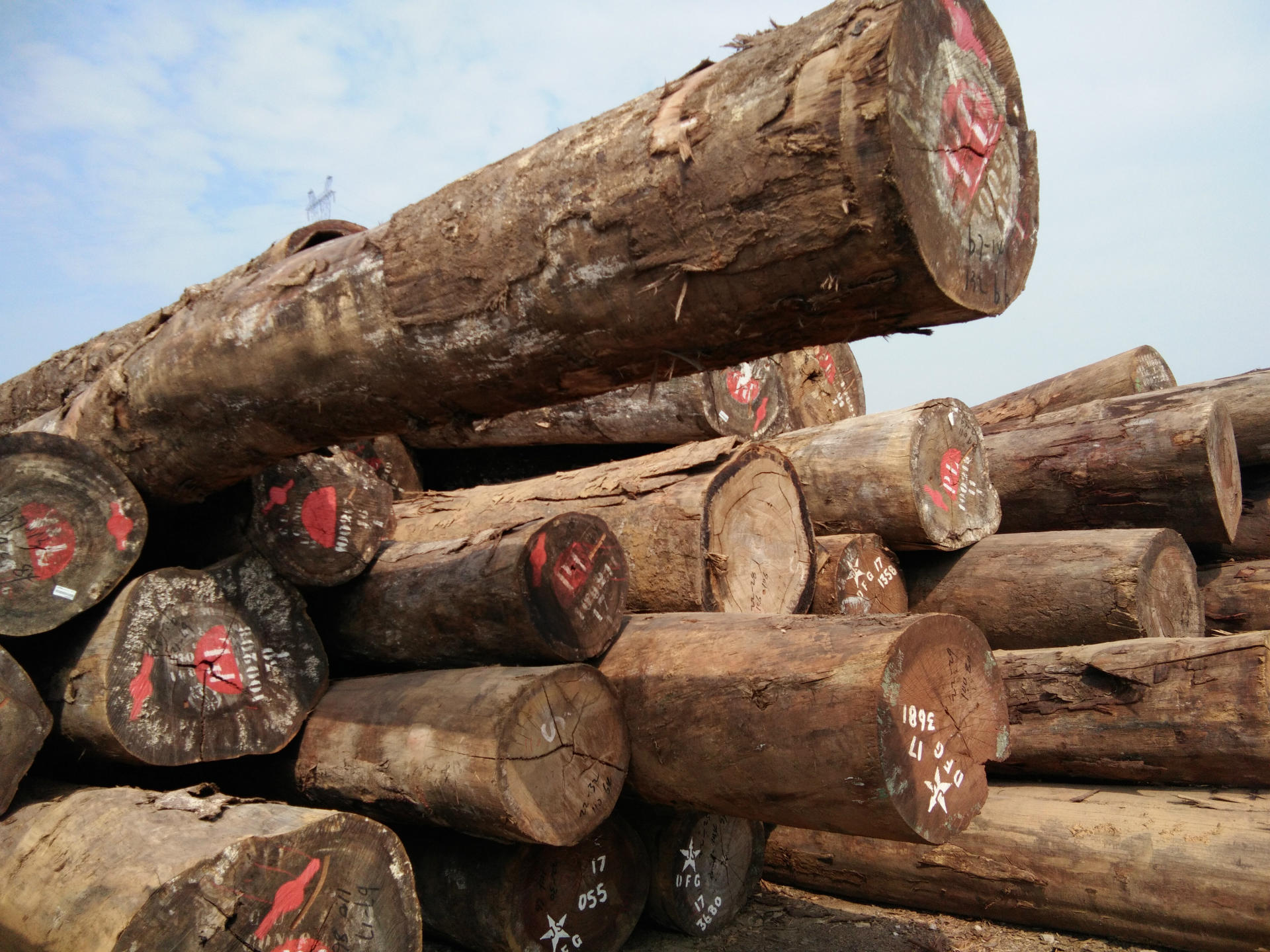 张家港原木 红玫瑰 红花梨板材 现货供应 价格优惠