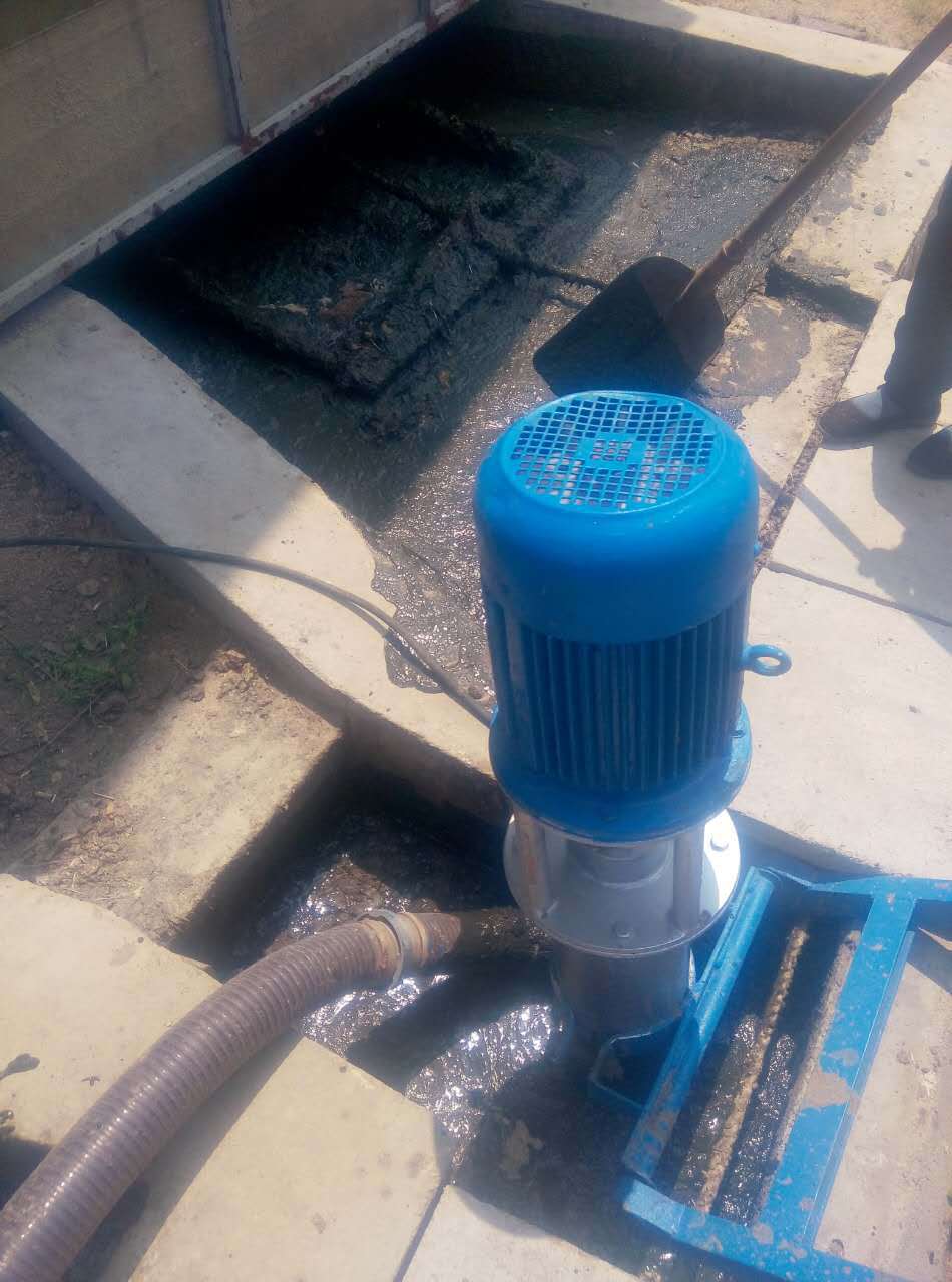 220v3kw立式绞龙泵 养殖场专用吸粪绞龙泵