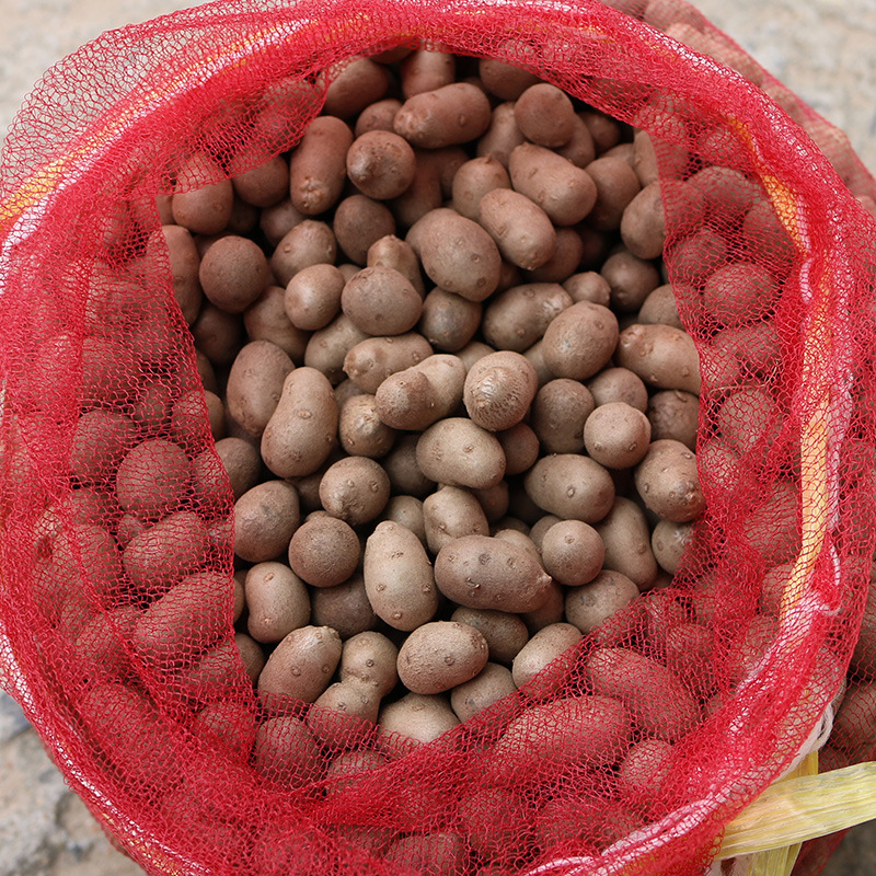 2017新鲜铁棍山药豆非温县农家自种天然陈集怀淮山药蛋5斤装包邮