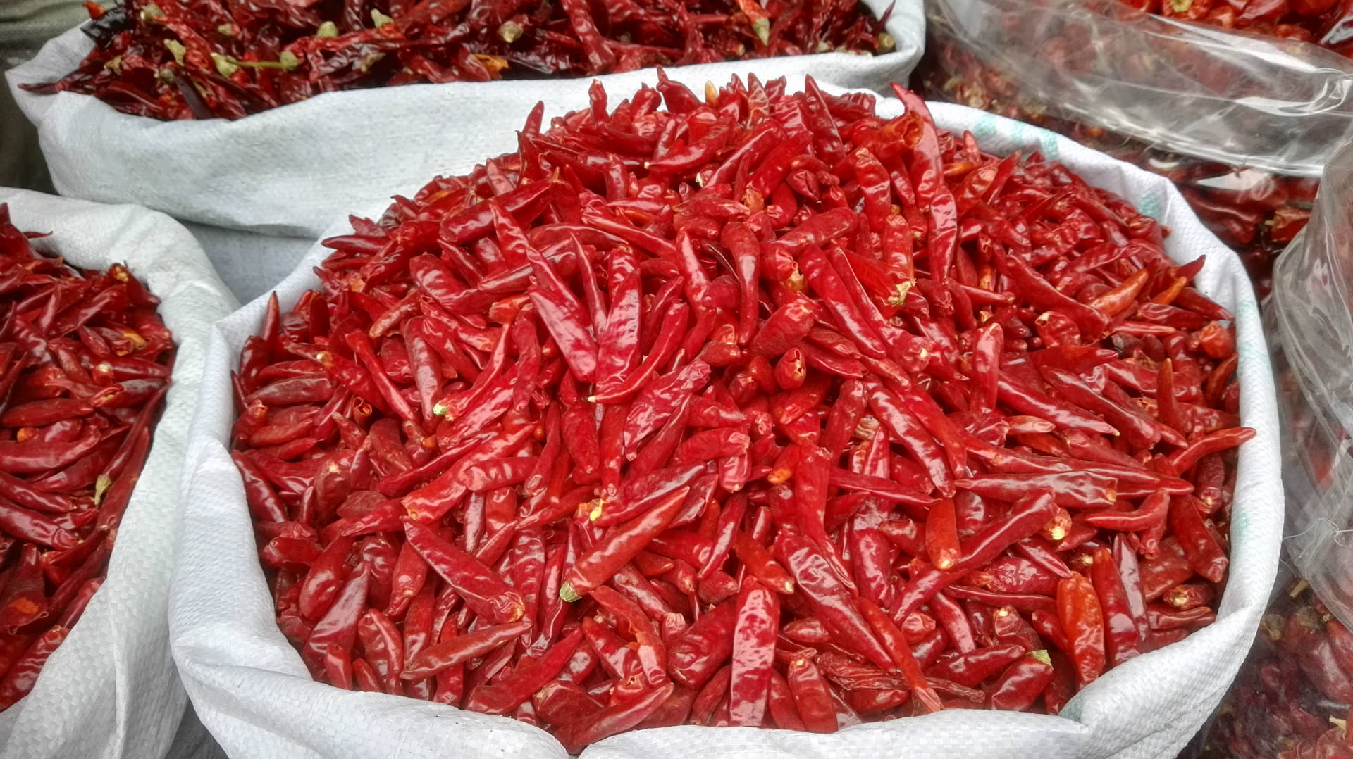 散装批发特辣新一代 干辣椒 辣椒王香料火锅底料调味品500克散装