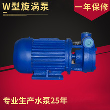 W型无堵塞旋涡泵排污泵 大功率潜水泵 立式电动清水泵厂家