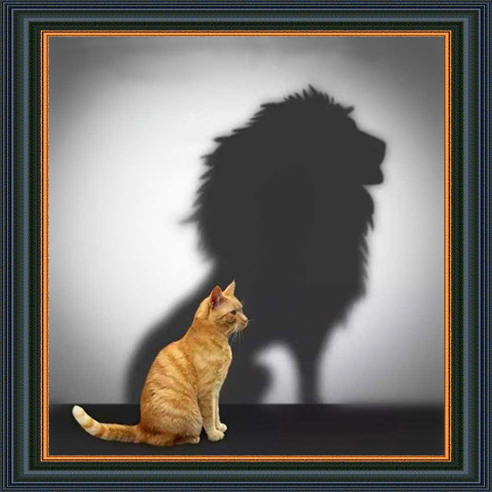 钻石画diy猫咪狮子速卖通wish亚马逊ebay跨境货源新款