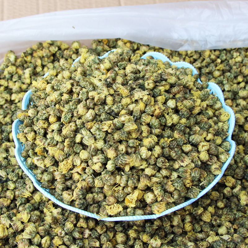 胎菊批发 桐乡产地新货胎菊花茶 杭白菊花蕾 源头厂家批发