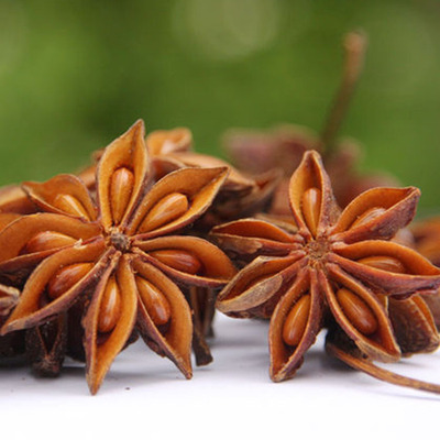 广西八角 春花八角 原产地直销无硫火锅大料 卤制原料调味品