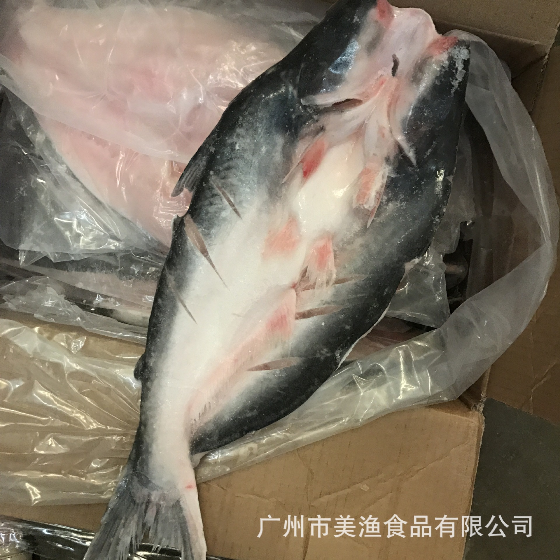 活冻开边 开背巴沙鱼 冷冻湄公鱼烤鱼用 凌波鱼巴沙鱼烤鱼10kg/件